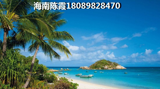 海南杭州国芳中心楼盘怎么样？