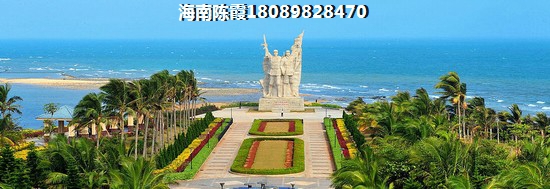 滨江银泰城 一居  户型图