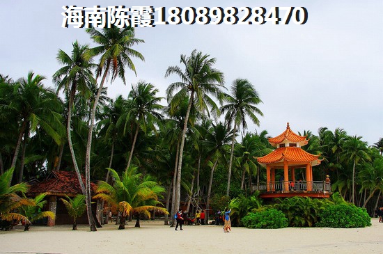 千岛湖绿城留香园 一居  户型图