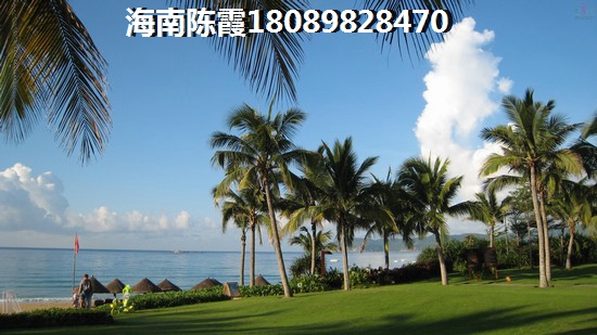 千岛湖桃源居千岛湖桃源居 效果图 一居  户型图