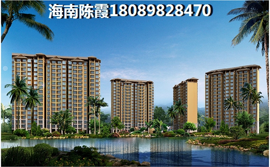 景顺·铂悦城 一居  户型图