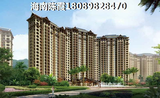 龙悦湾-金石院子 一居  户型图