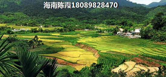 杭州临平 钱江IN工坊 一居  户型图